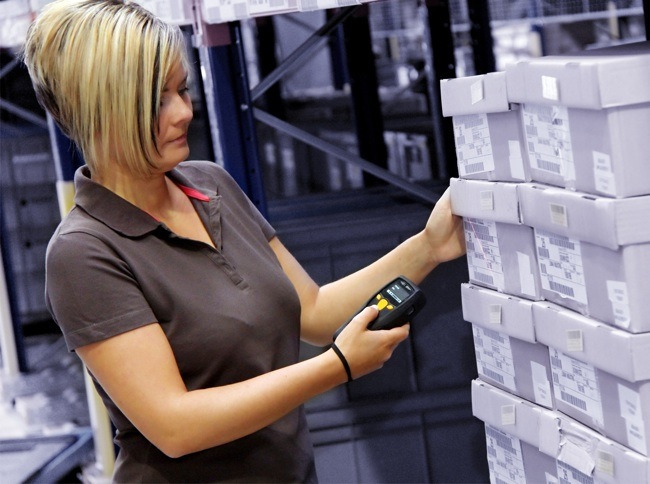 Employee Conducting Shipping Logistics Planning